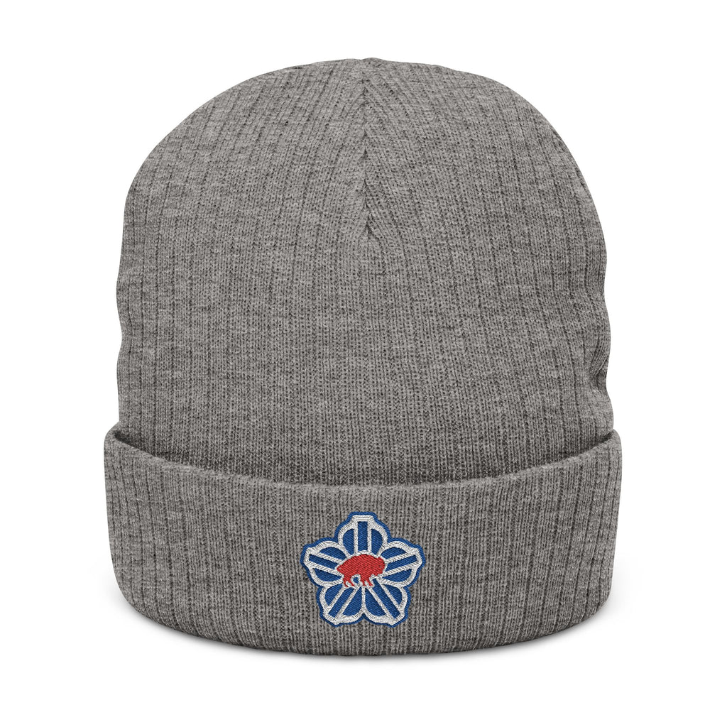 ROC Buffalo Embroidered Beanie