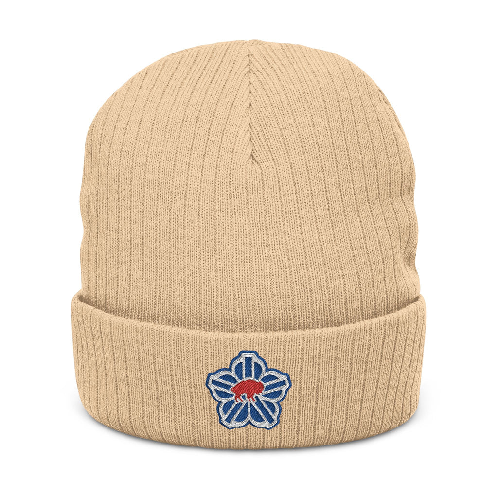 ROC Buffalo Embroidered Beanie