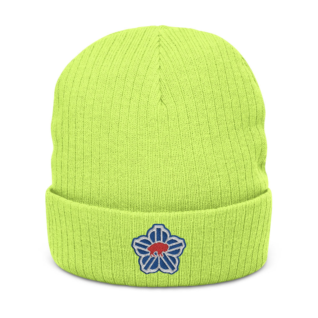 ROC Buffalo Embroidered Beanie